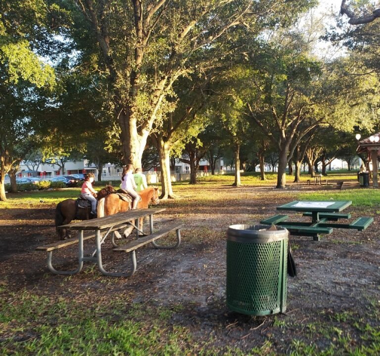 Soccer Field image 2