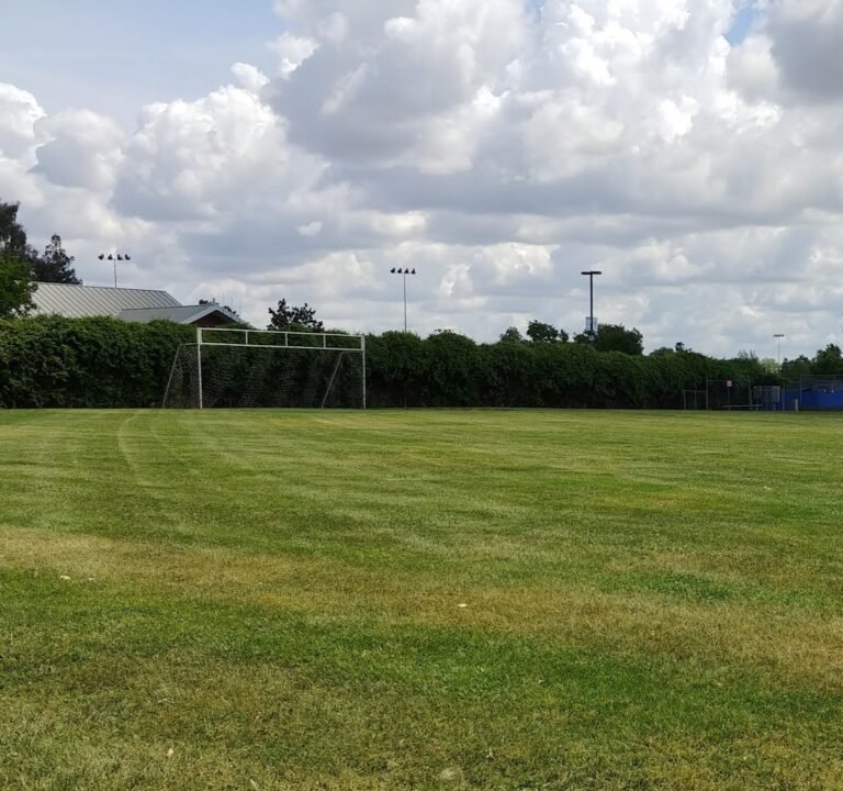 Soccer Field image 2