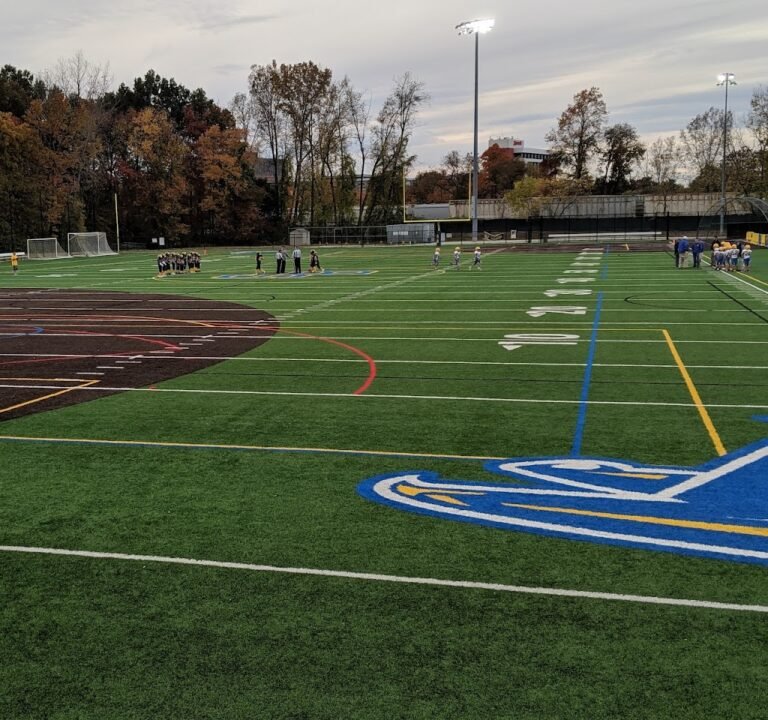 Soccer Field image 2