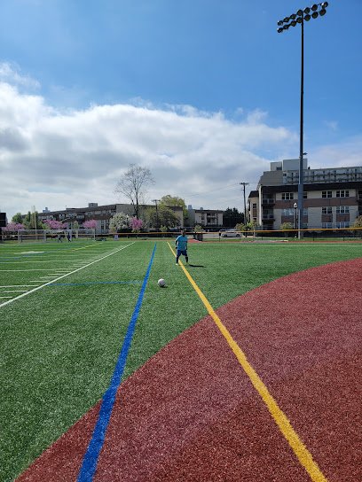 Soccer Field image 1