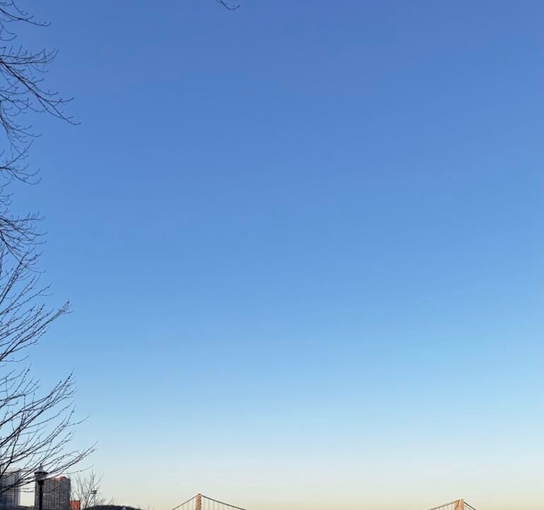 Soccer Field image 3