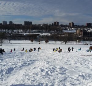 Soccer Field image 3