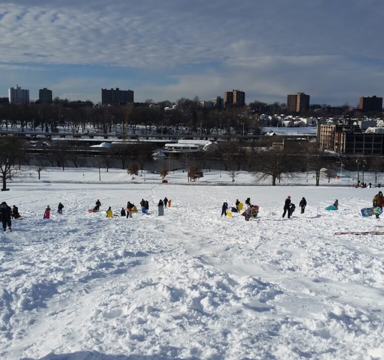 Soccer Field image 3