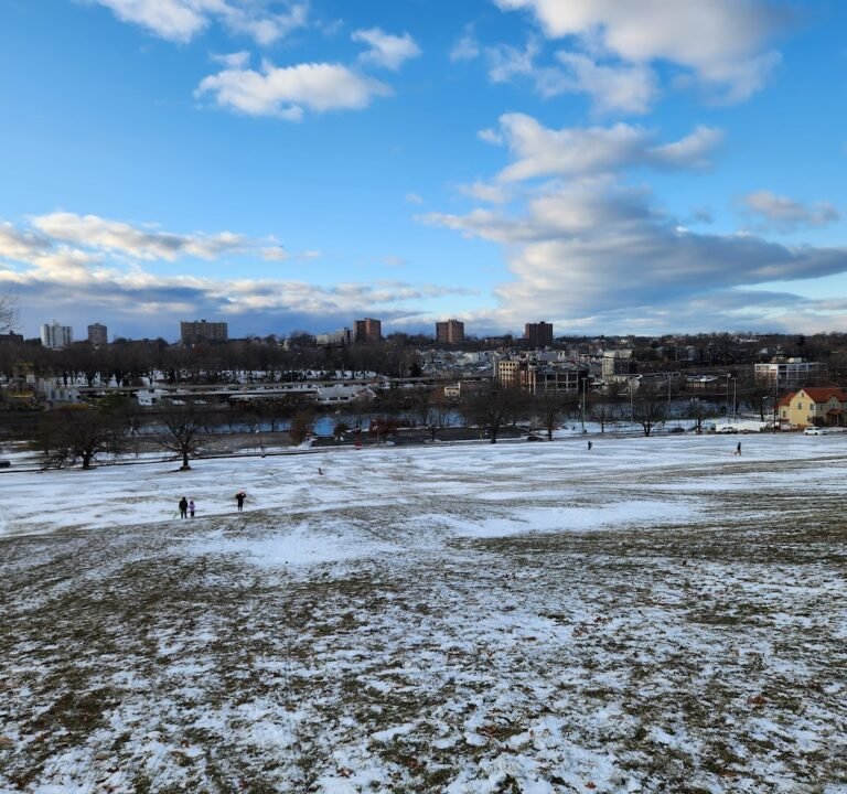 Soccer Field image 2