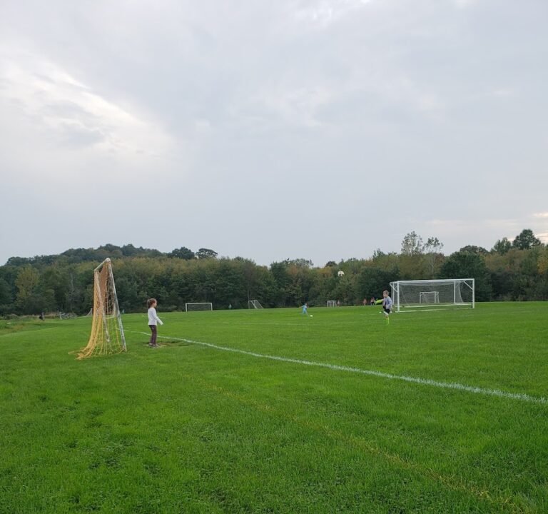 Soccer Field image 2