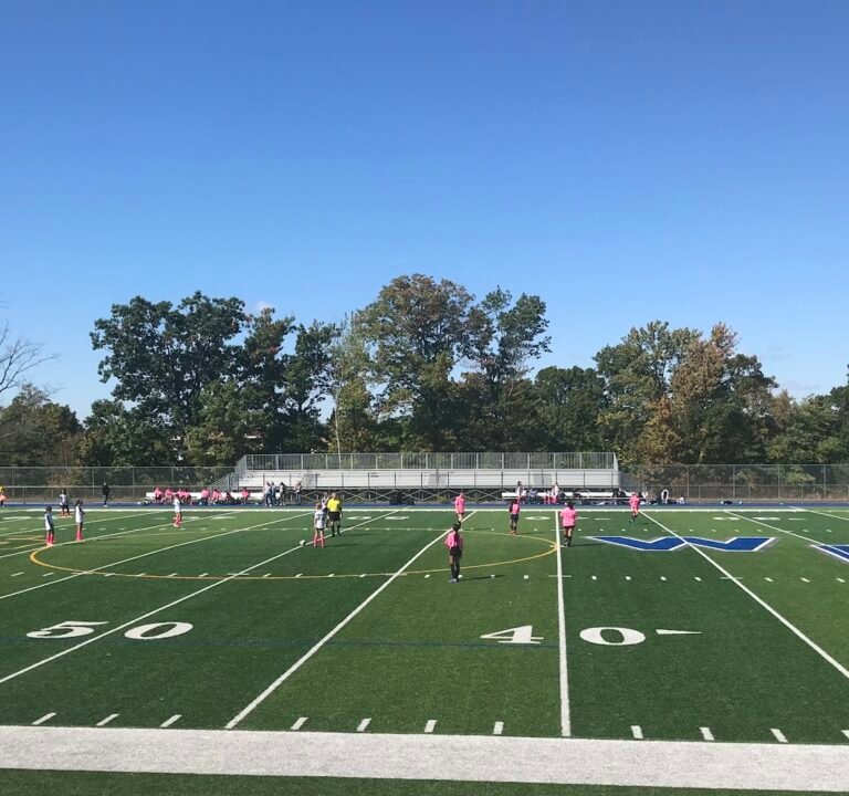 Soccer Field image 2