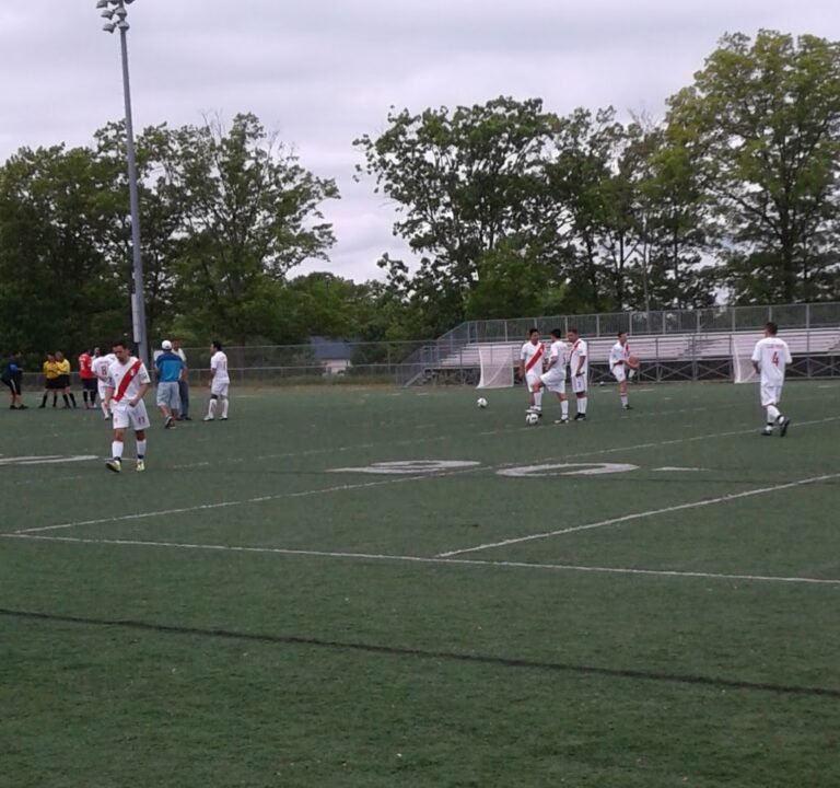 Soccer Field image 3