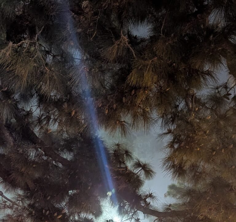 Soccer Field image 3