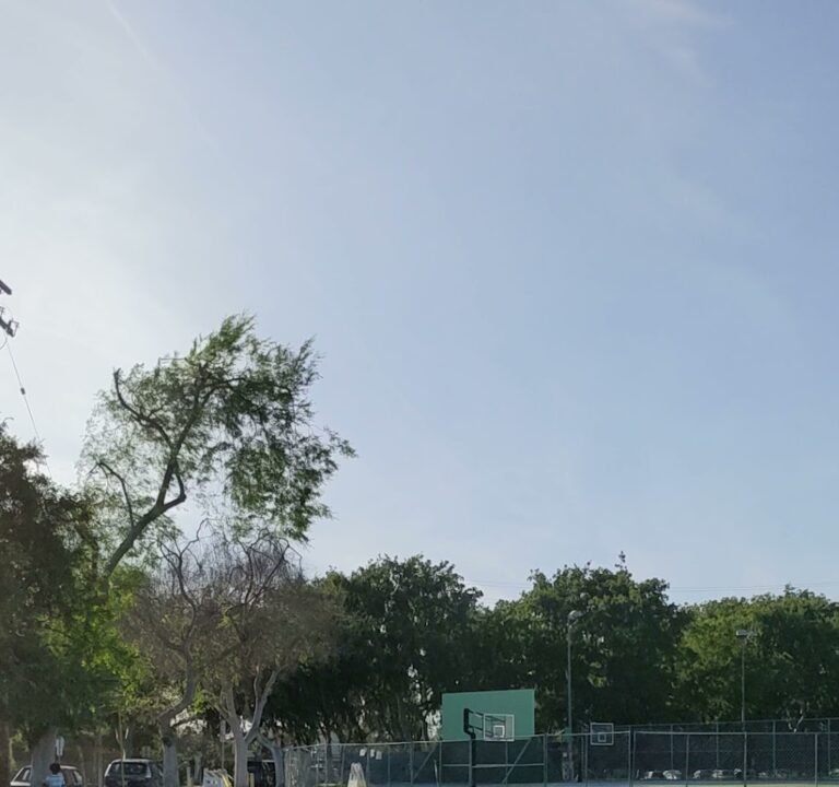 Soccer Field image 4