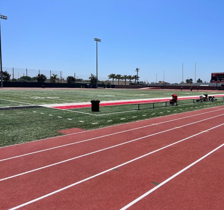 Soccer Field image 2