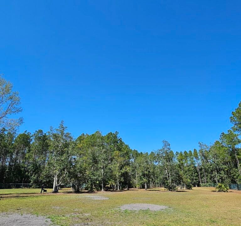 Soccer Field image 3