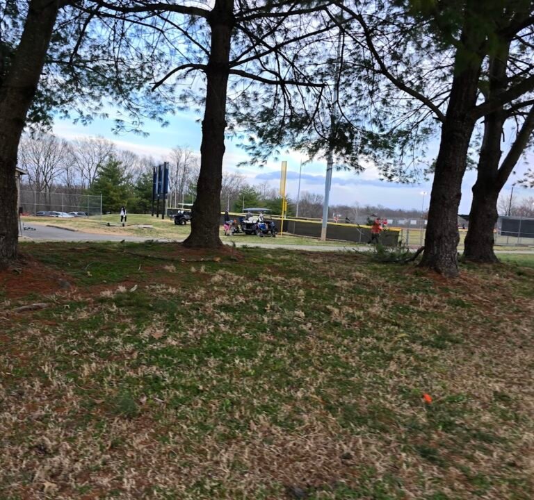 Soccer Field image 3