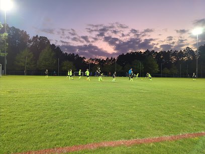 Soccer Field image 1