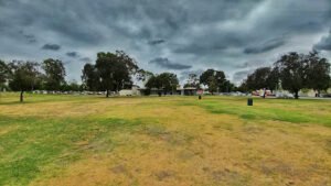 Soccer Field image 1