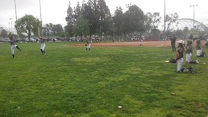 Soccer Field image 1