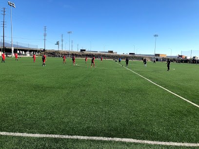 Soccer Field image 1