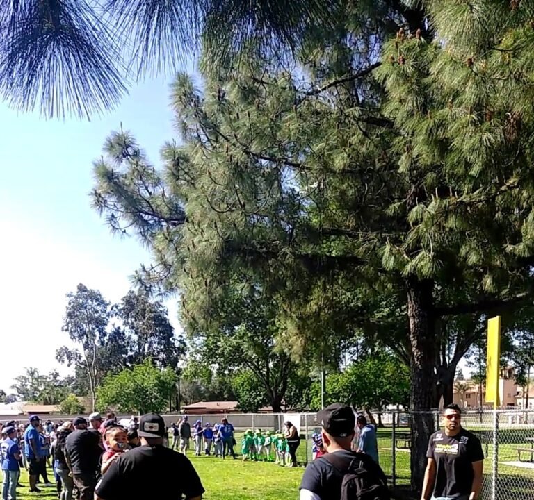 Soccer Field image 4