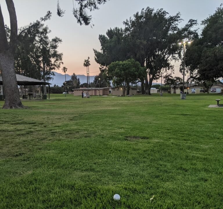 Soccer Field image 2