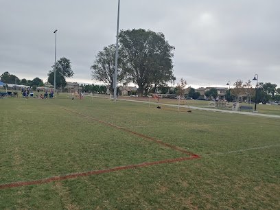 Soccer Field image 1