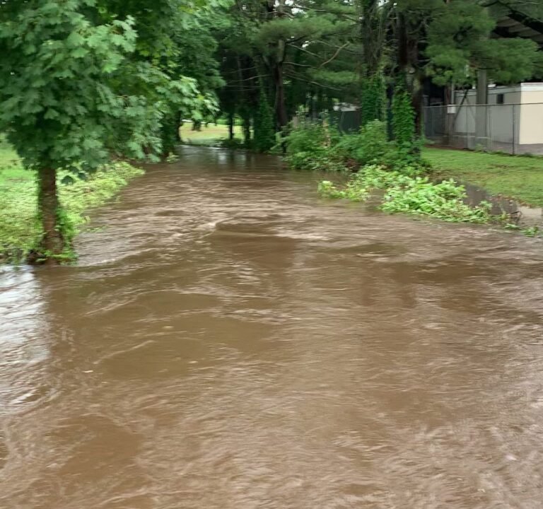 Soccer Field image 4