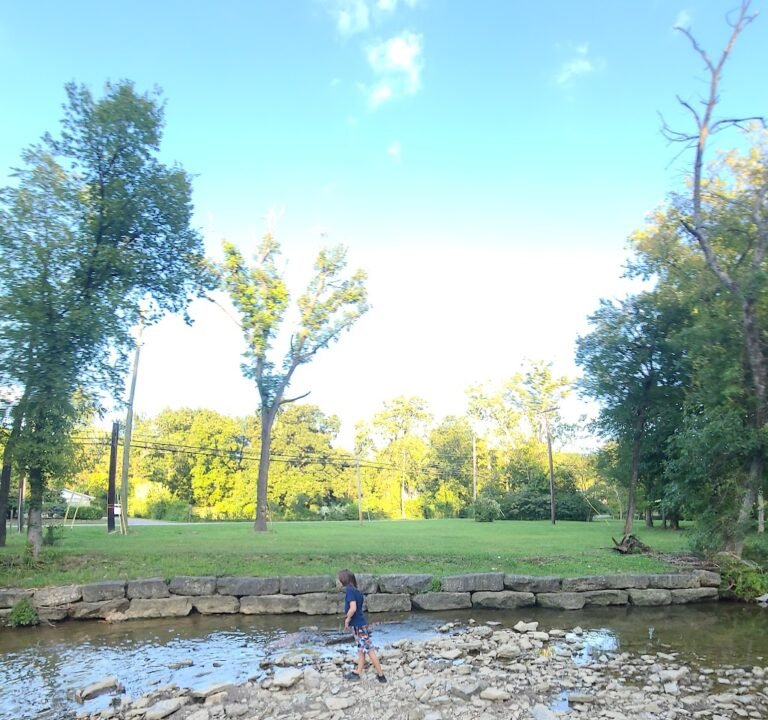 Soccer Field image 2