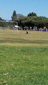 Soccer Field image 1