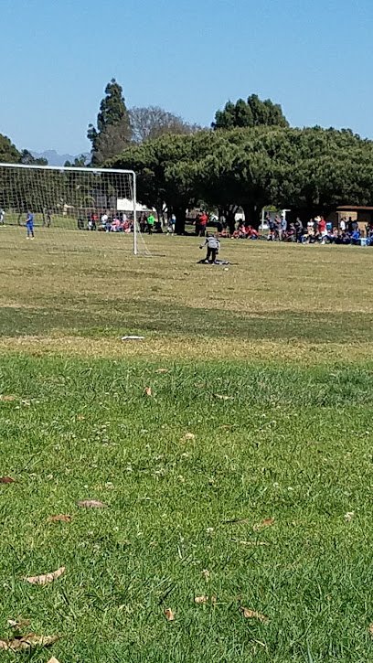 Soccer Field image 1