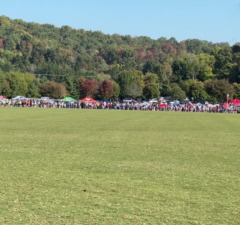 Soccer Field image 4