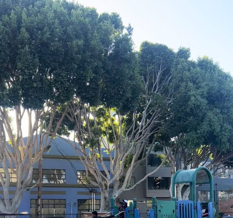 Soccer Field image 4