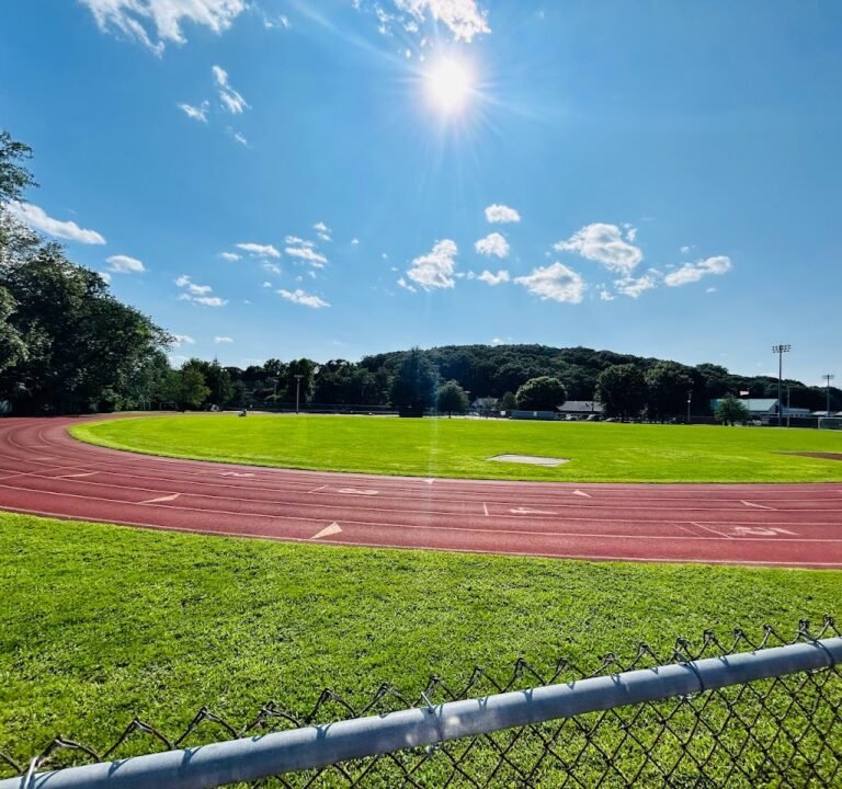 Soccer Field image 2