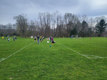 Soccer Field image 1