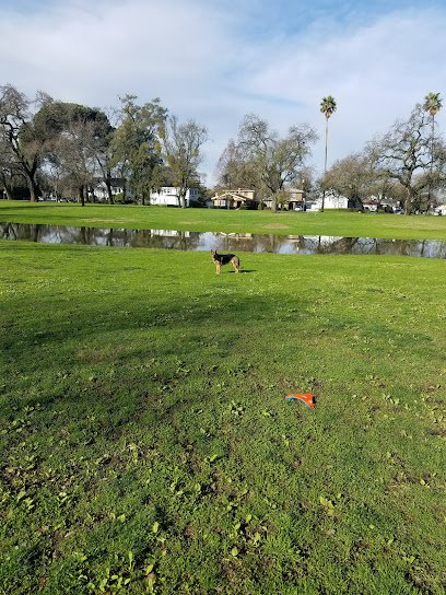 Soccer Field image 1