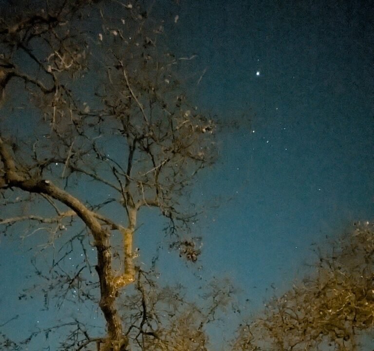 Soccer Field image 3