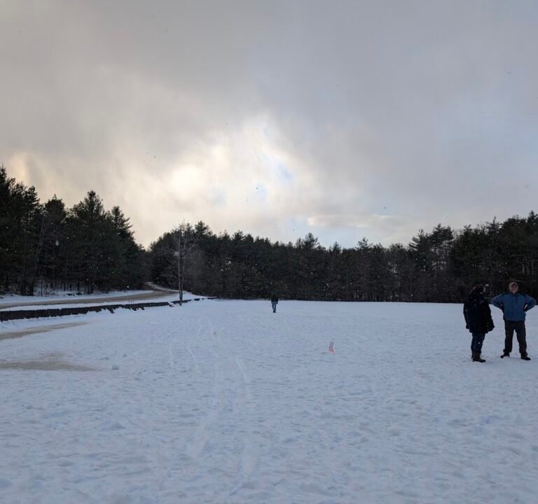 Soccer Field image 2