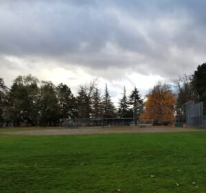 Soccer Field image 4