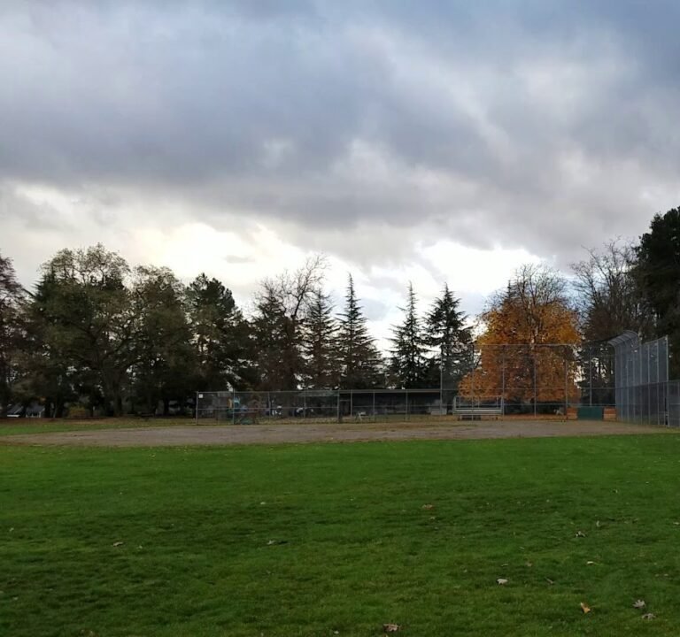Soccer Field image 4