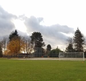 Soccer Field image 2