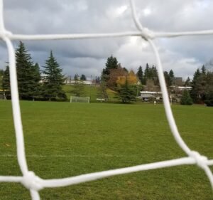 Soccer Field image 3