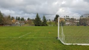 Soccer Field image 1