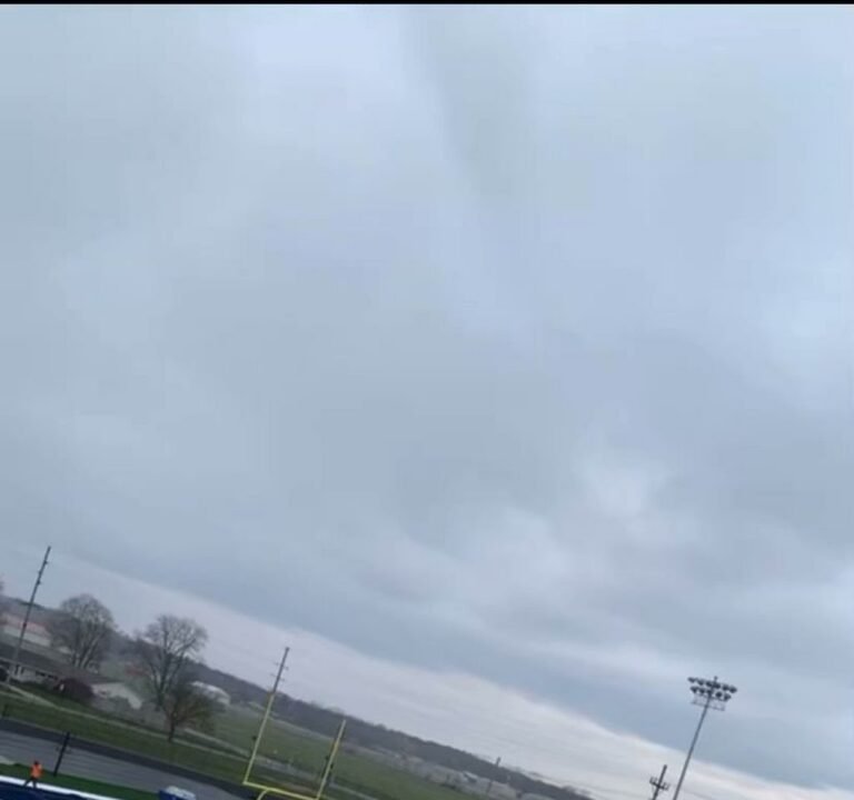 Soccer Field image 3