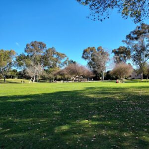 Soccer Field image 1