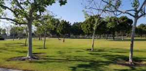 Soccer Field image 1