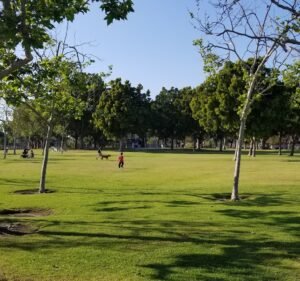 Soccer Field image 2
