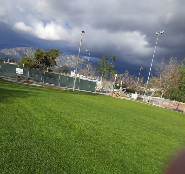 Soccer Field image 3