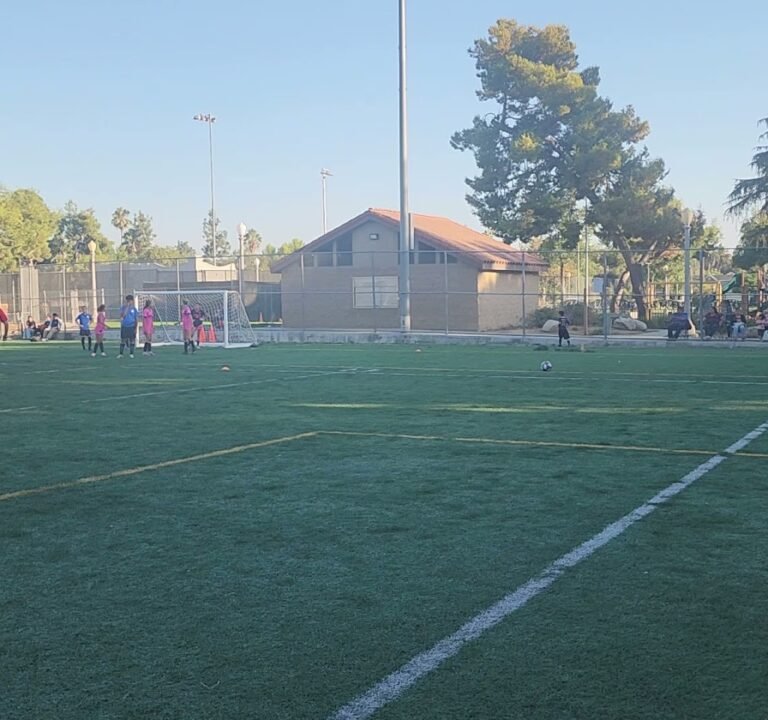 Soccer Field image 4