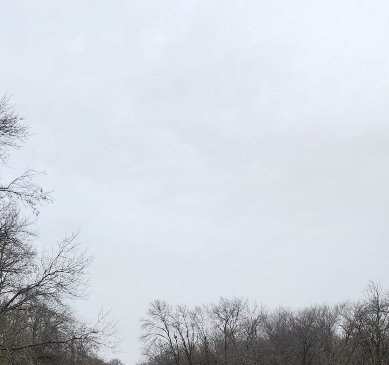 Soccer Field image 3