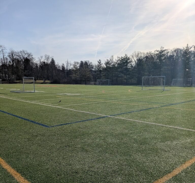 Soccer Field image 3