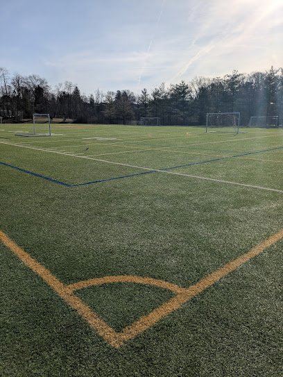 Soccer Field image 1
