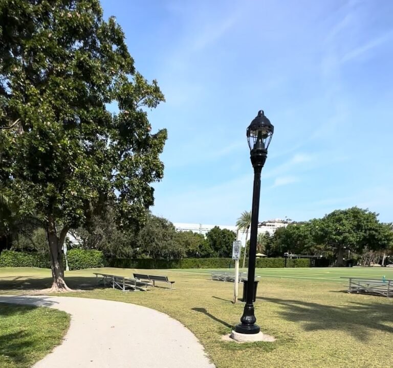 Soccer Field image 3