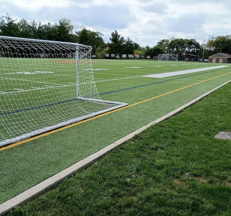 Soccer Field image 2